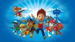 Paw Patrol Wallpapers (64+ background pictures)